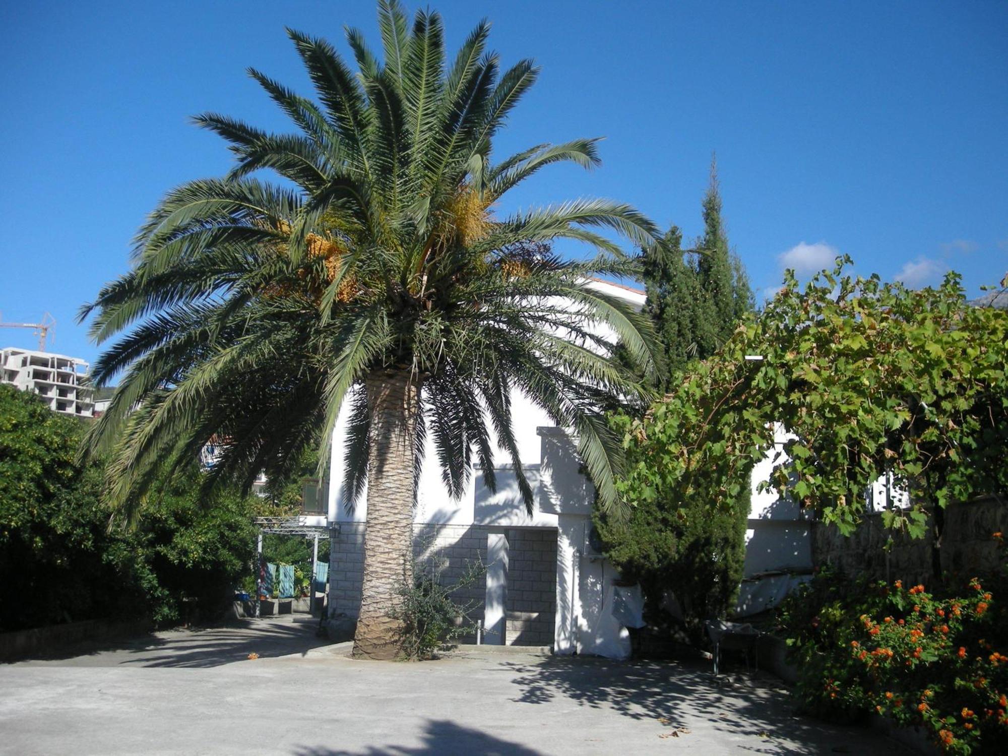 Apartments Becic Μπούντβα Εξωτερικό φωτογραφία
